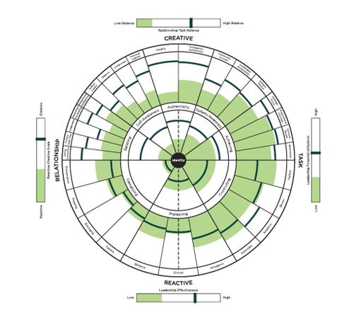 Leadership Circle Profile 360